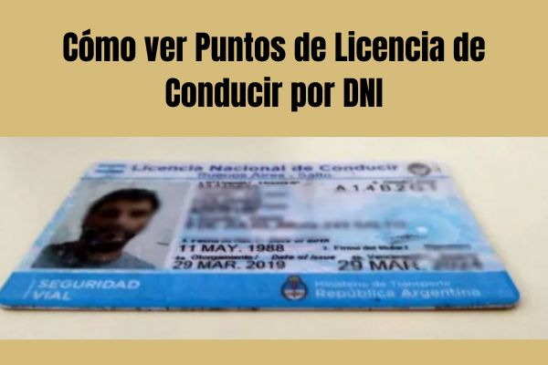 Cómo ver Puntos de Licencia de Conducir por DNI