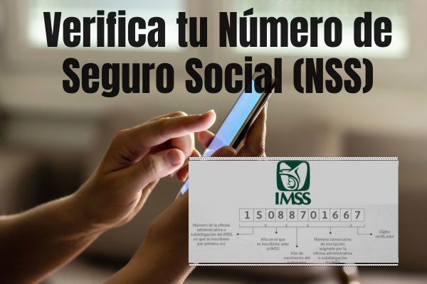 Verifique el número de seguro social (NSS): Asegúrate de que tu NSS esté correcto para proteger tu identidad y acceder a los beneficios adecuados de manera segura.