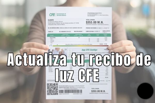 Actualiza tu recibo de luz CFE en 3 sencillos pasos